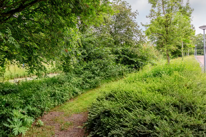 Photo 39 of Oostkaap 3