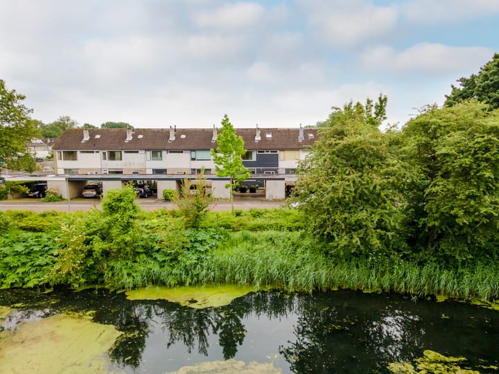 Photo 43 of Oostkaap 3