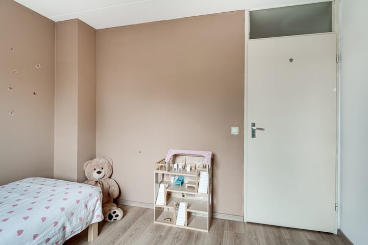 Foto 45 van de Els 67