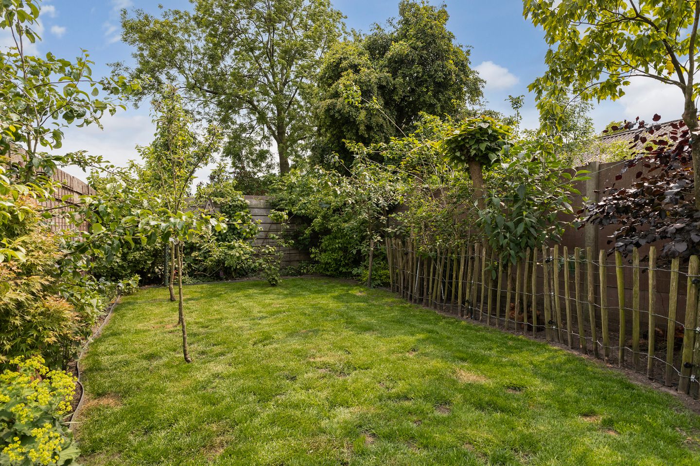 Foto 34 van Jakob de Graafstraat 40