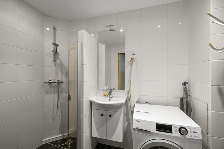 Foto 5 van Gouden Leeuw 443