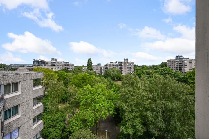 Photo 11 of Gouden Leeuw 443