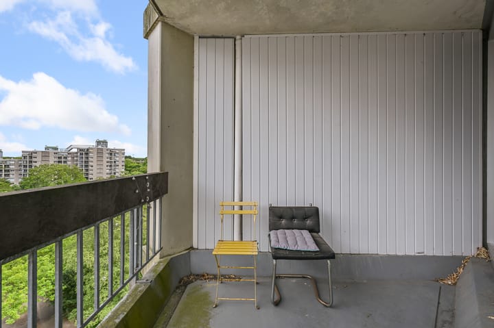 Photo 19 of Gouden Leeuw 443