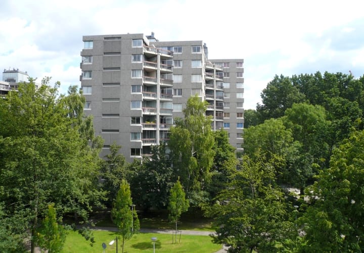 Photo 24 of Gouden Leeuw 443