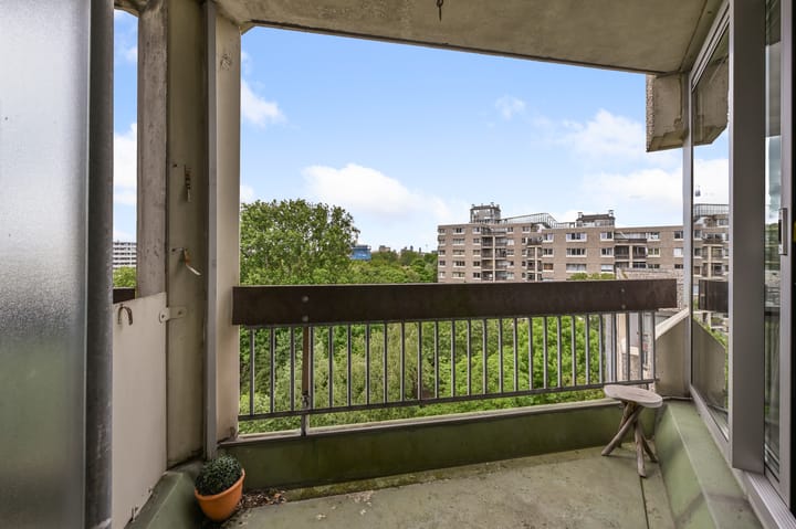 Photo 10 of Gouden Leeuw 443