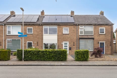 undefined main image