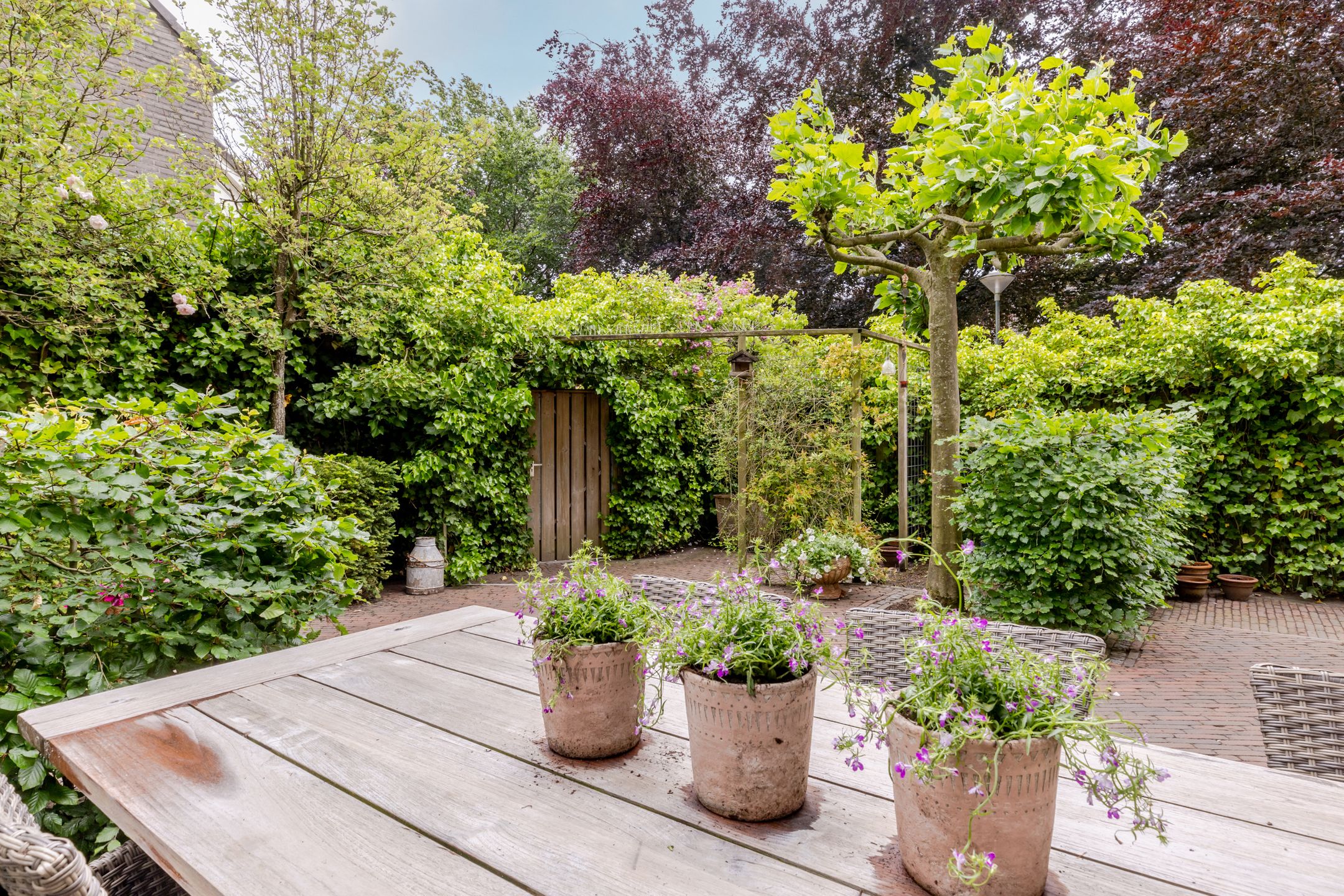 Photo 33 of Burg. Den Oudenstraat 2