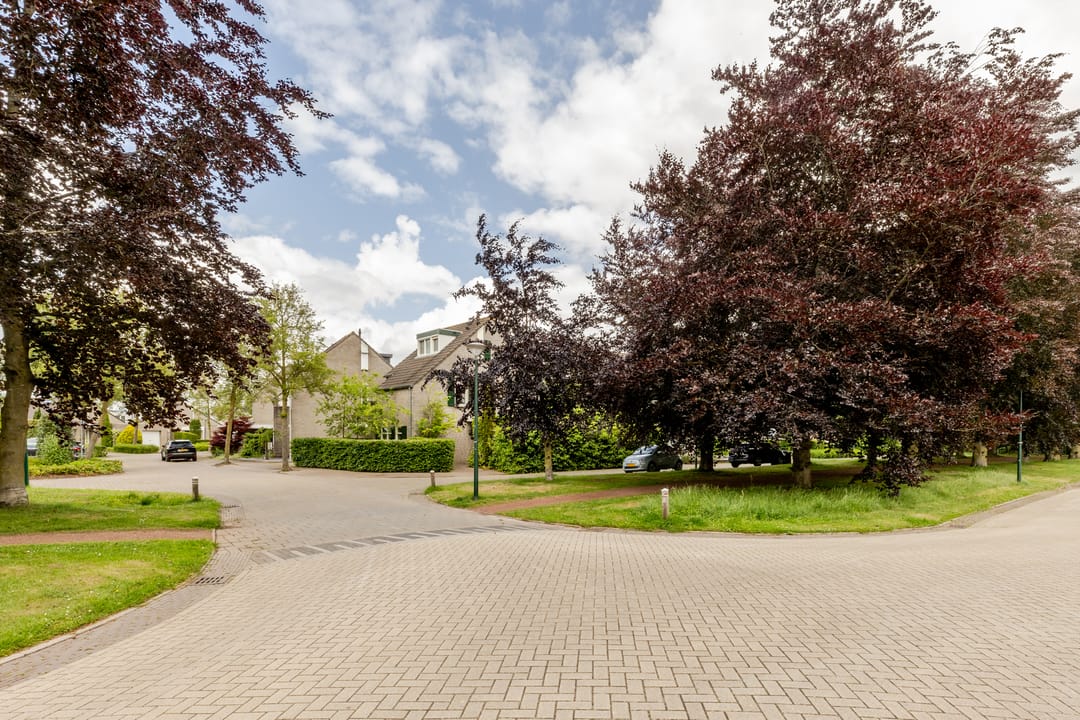 Photo 46 of Burg. Den Oudenstraat 2