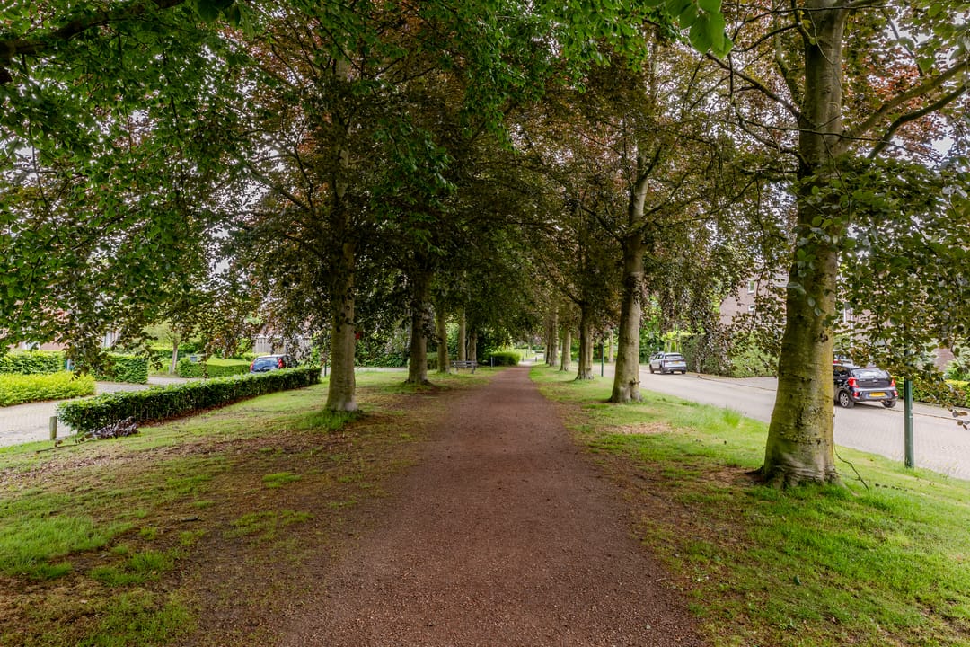 Photo 47 of Burg. Den Oudenstraat 2