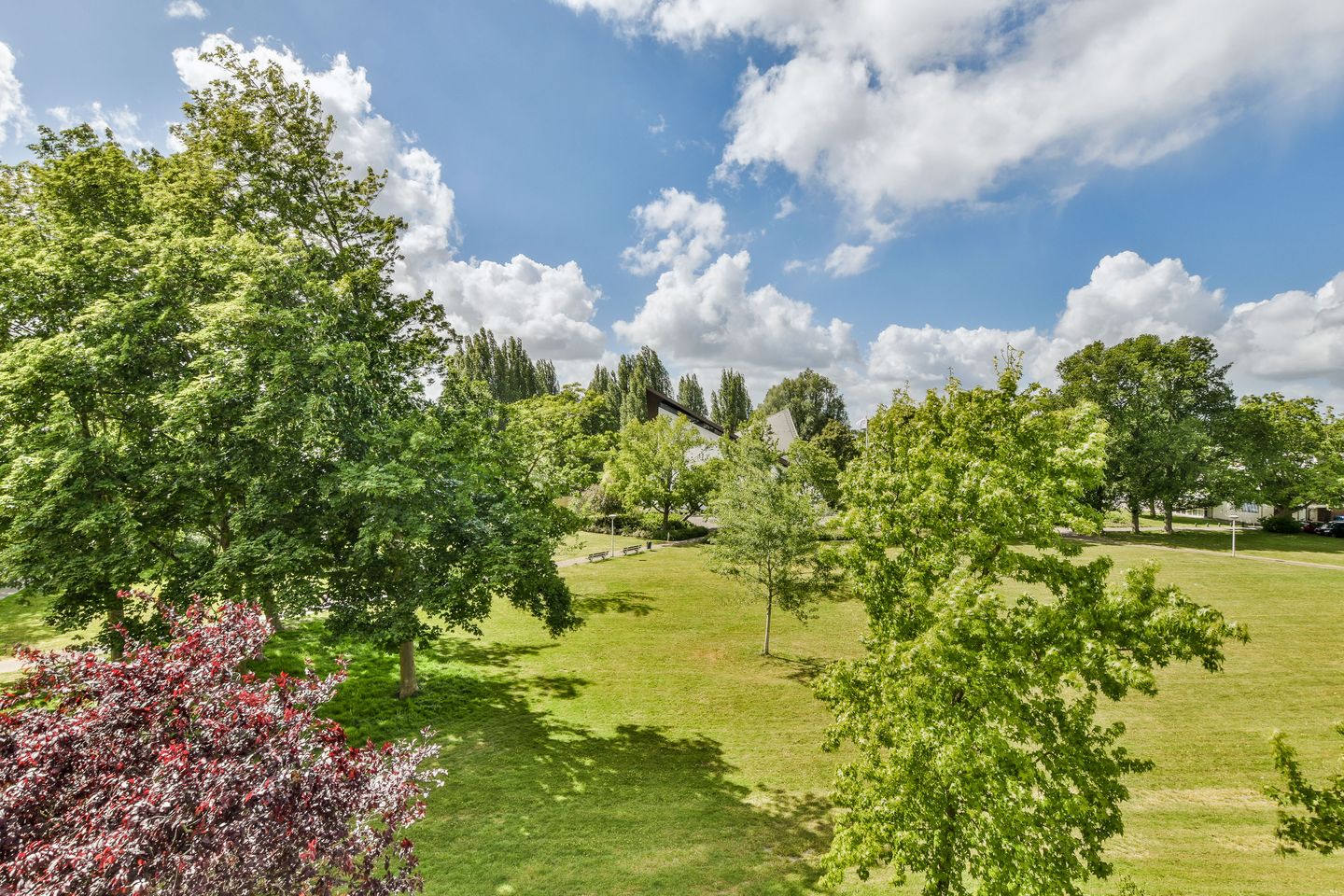 Photo 14 of Maarten Lutherweg 187