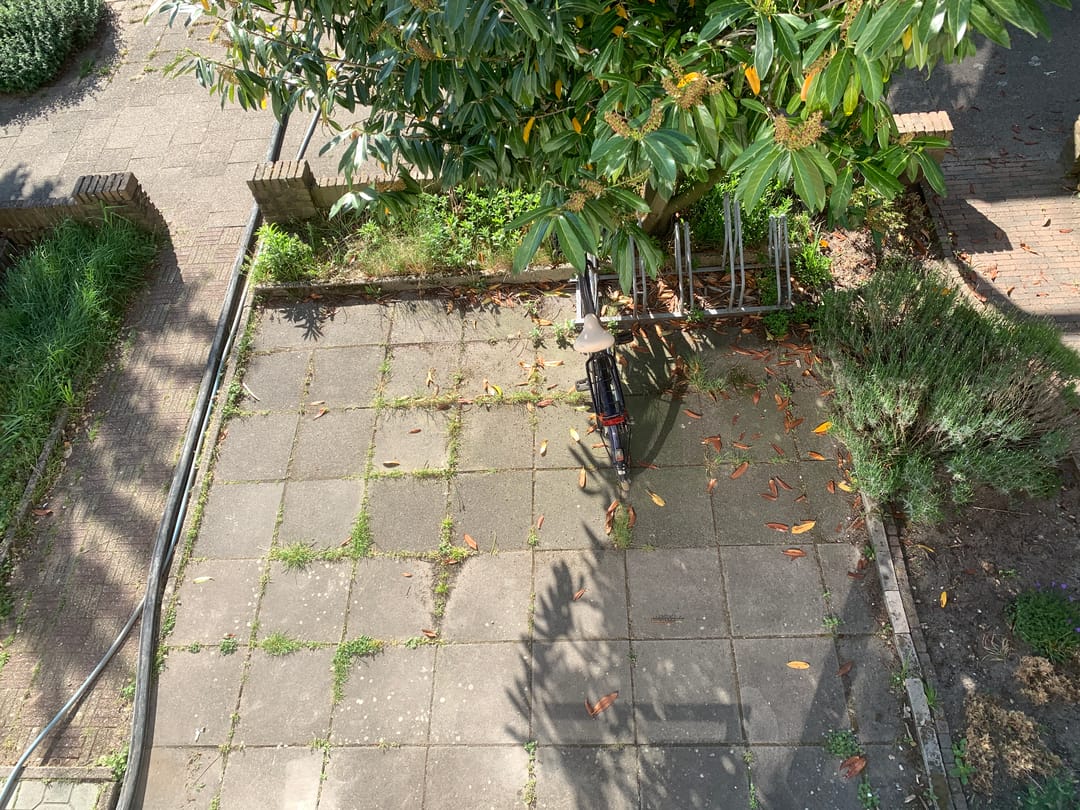 Foto 11 van Rubicondreef 50-A