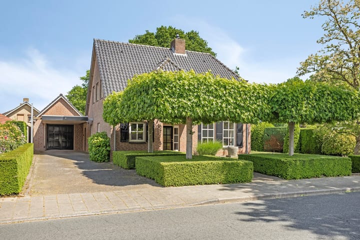 undefined main image