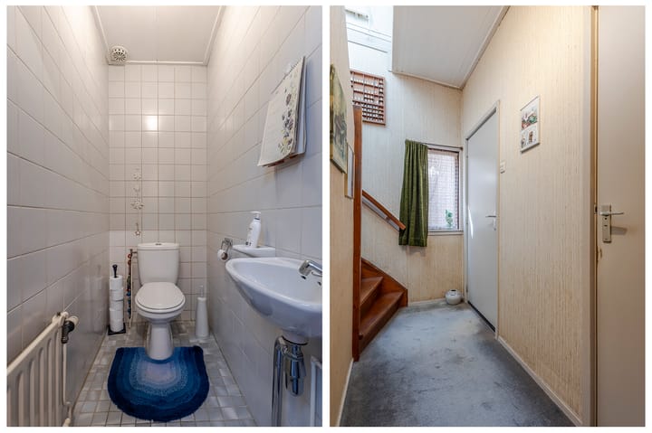 Foto 13 van Buitendams 265