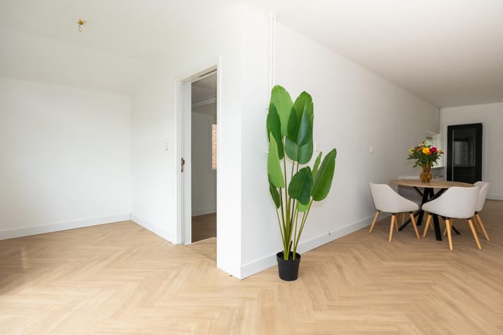 Foto 12 van Wittebroodslaantje 2