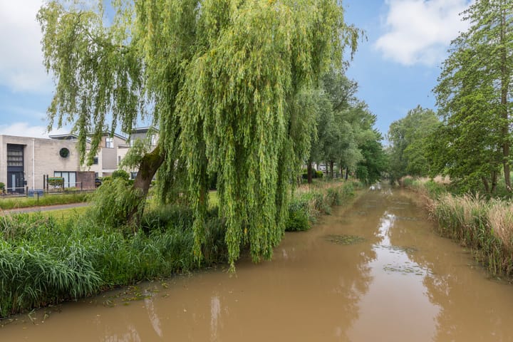 Foto 41 van De Brug 50