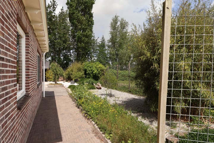 Foto 47 van De Buffer 19