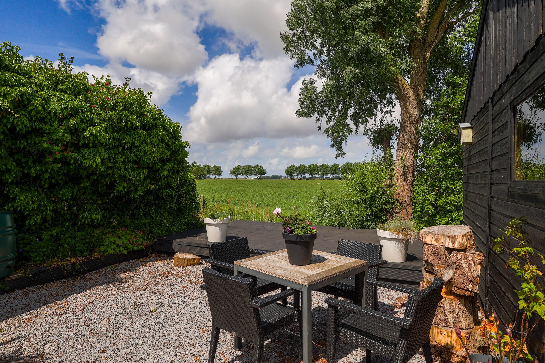 Foto 54 van De Buffer 19