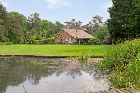 Ellegoorsestraat thumbnail