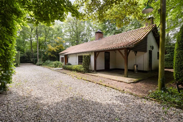 Foto 47 van Ellegoorsestraat 5