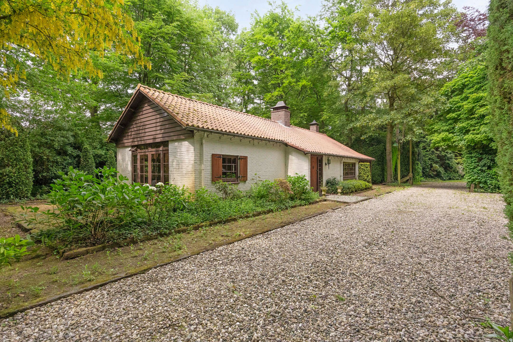 Foto 48 van Ellegoorsestraat 5