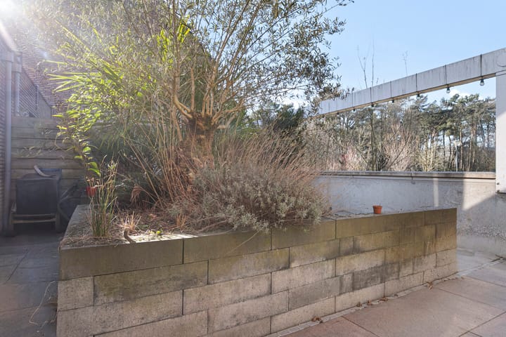 Foto 33 van Waterfront 511