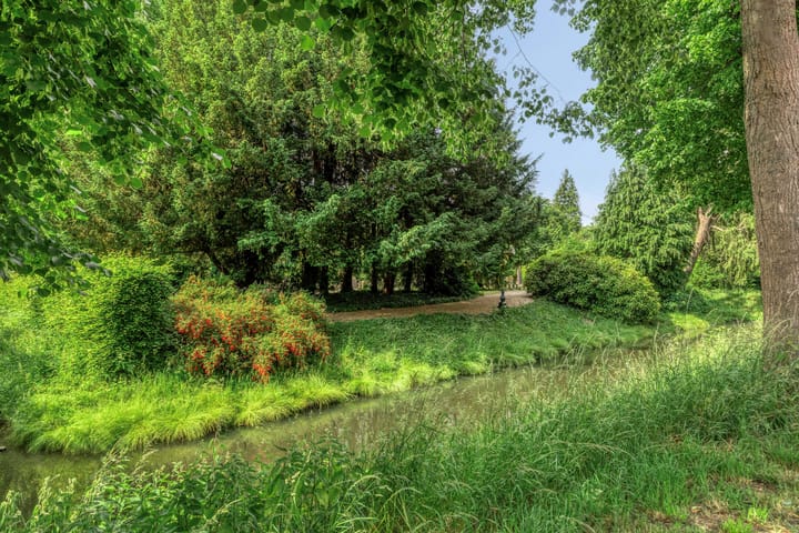 Foto 40 van W. de Vries Robbéweg 28