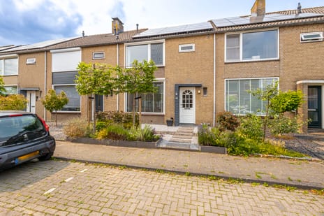 undefined main image