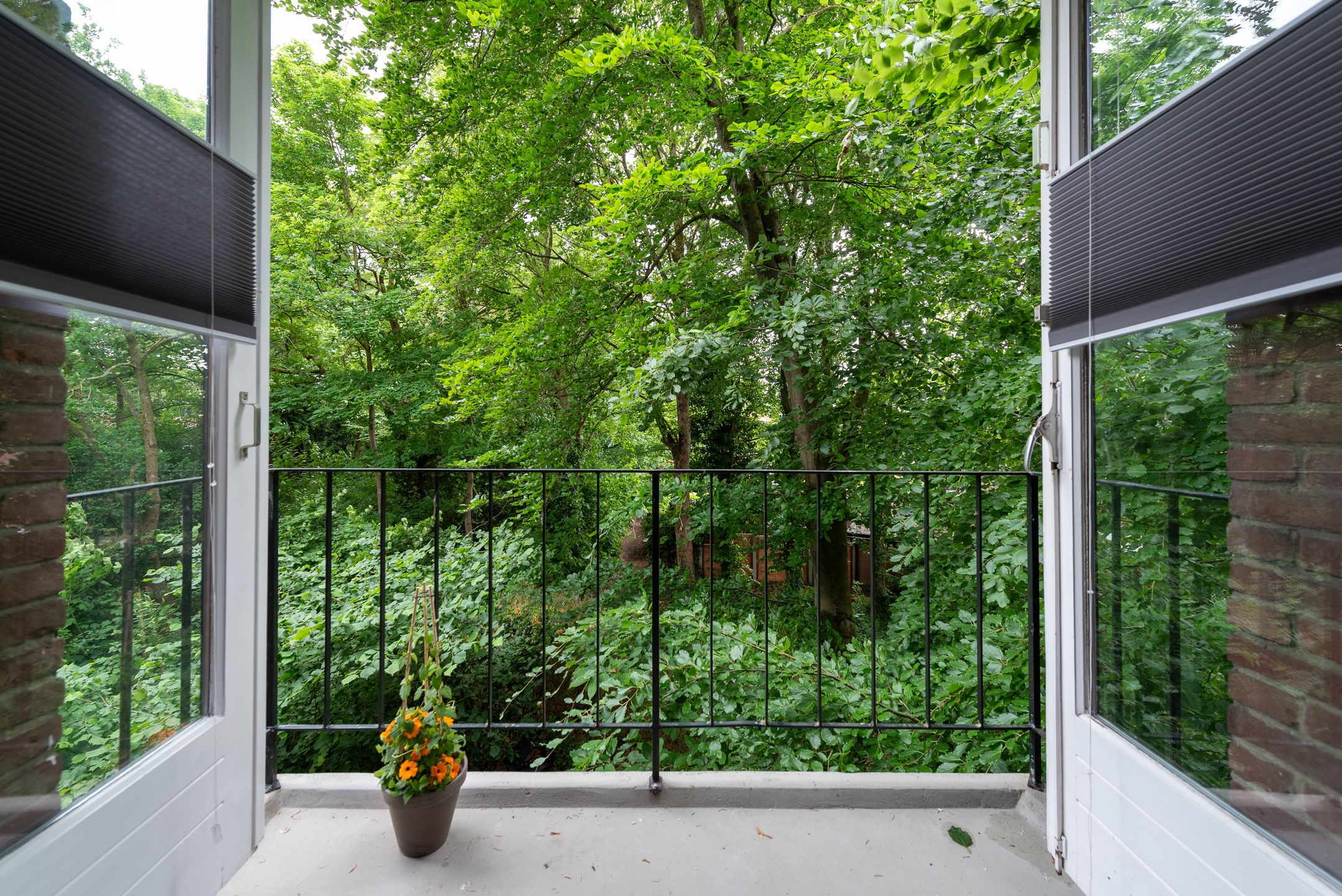 Foto 12 van Dr. s'Jacoblaan 36