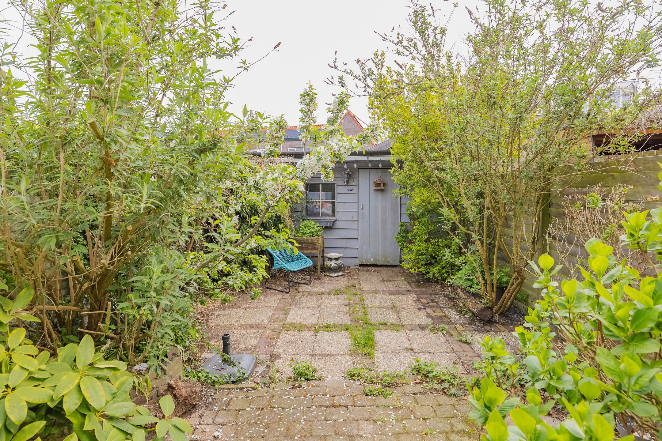 Foto 21 van Elzenstraat 27