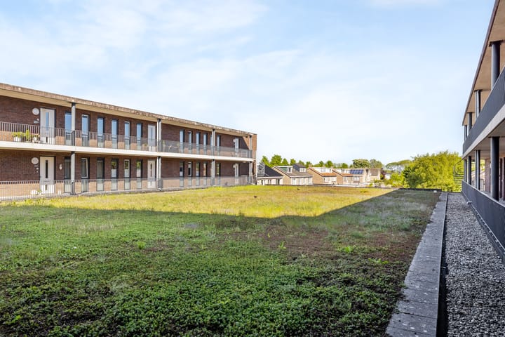 Foto 9 van Peter van Thaborplein 44