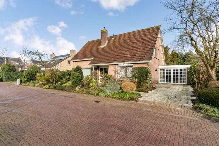 Bram Dolywaard 8