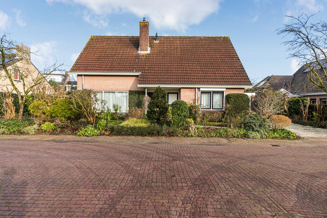 Foto 7 van Bram Dolywaard 8