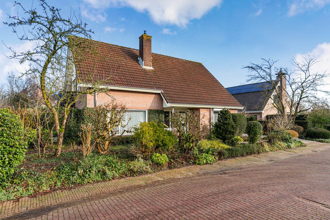 Foto 8 van Bram Dolywaard 8