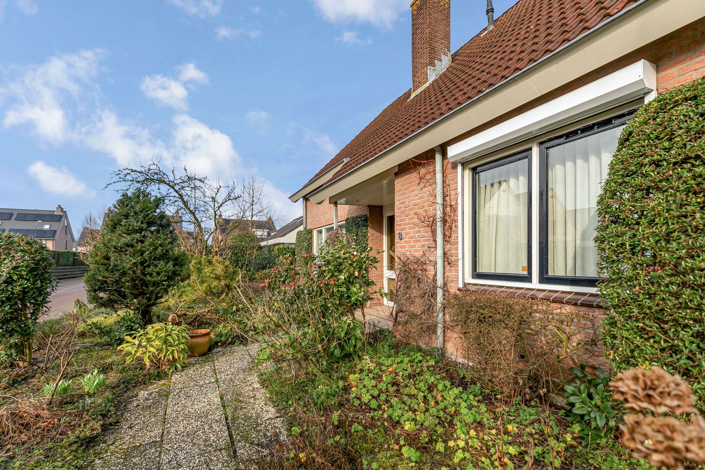 Foto 10 van Bram Dolywaard 8