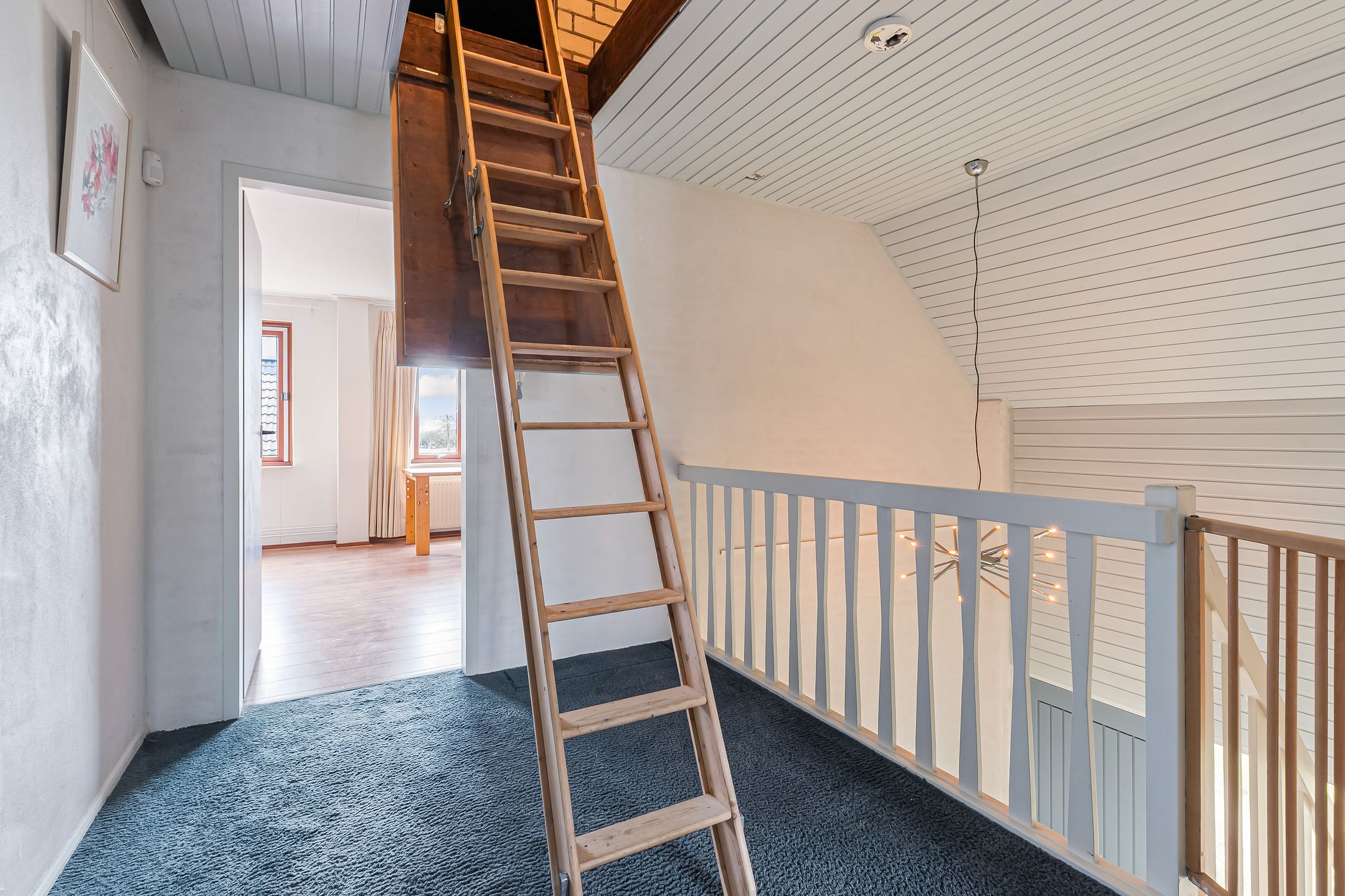 Foto 45 van Bram Dolywaard 8