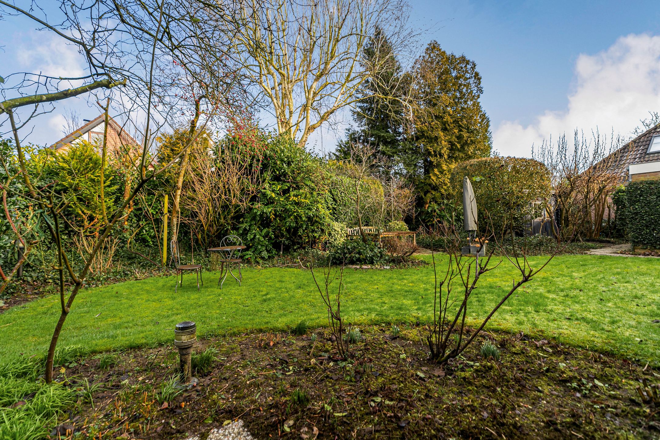 Foto 51 van Bram Dolywaard 8