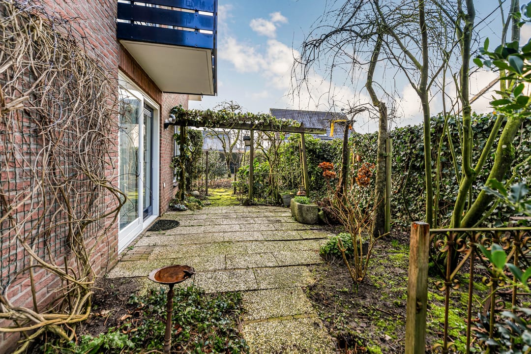 Foto 53 van Bram Dolywaard 8