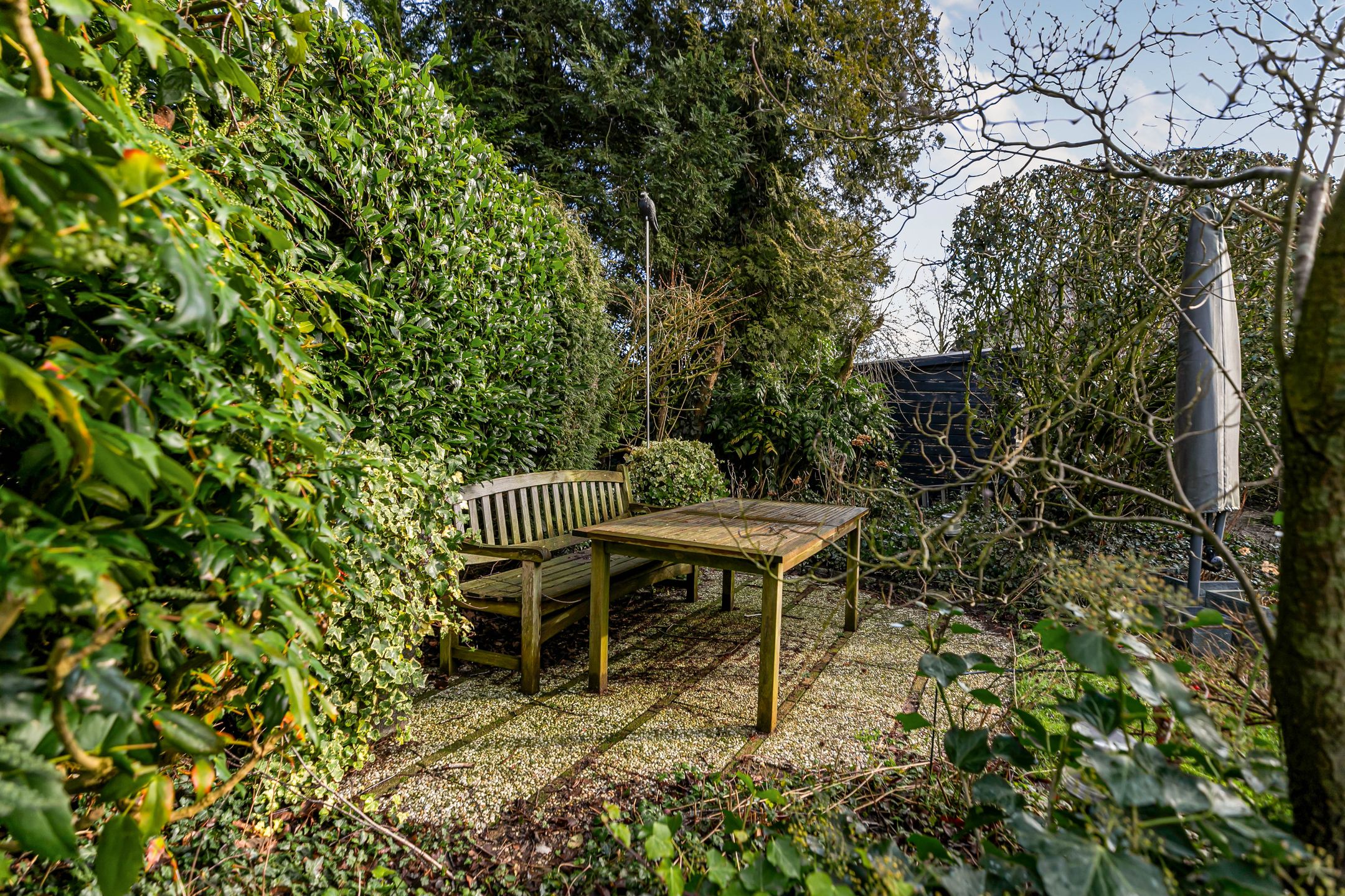 Foto 54 van Bram Dolywaard 8