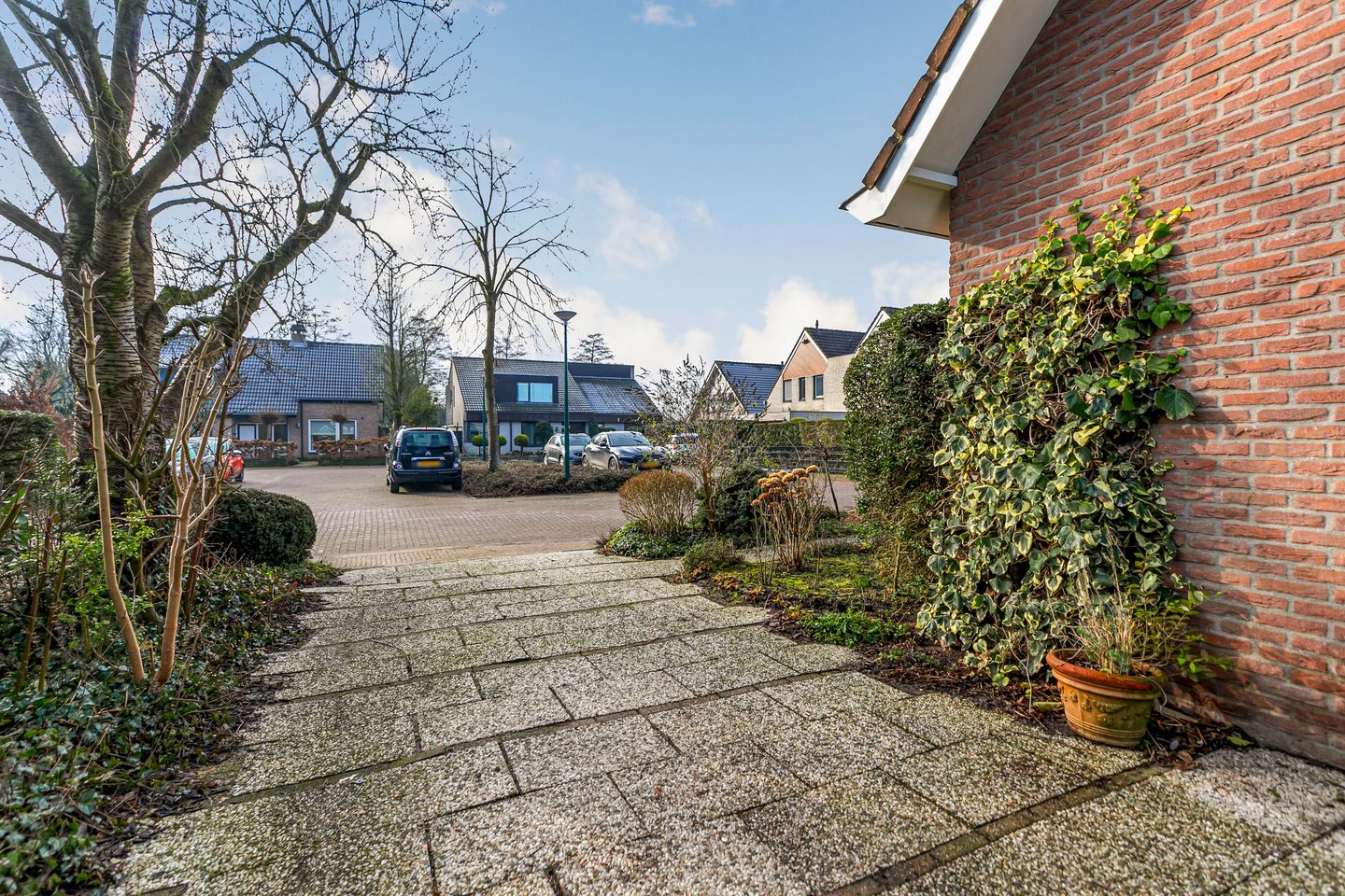 Foto 55 van Bram Dolywaard 8