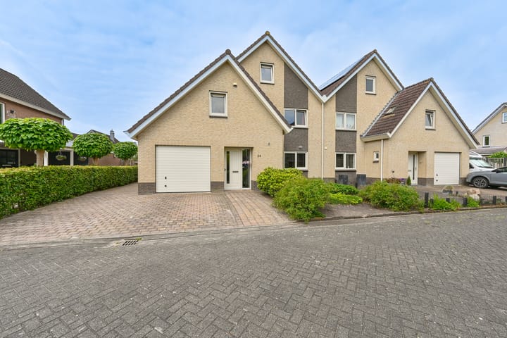 Foto 1 van Grijze Snip 24