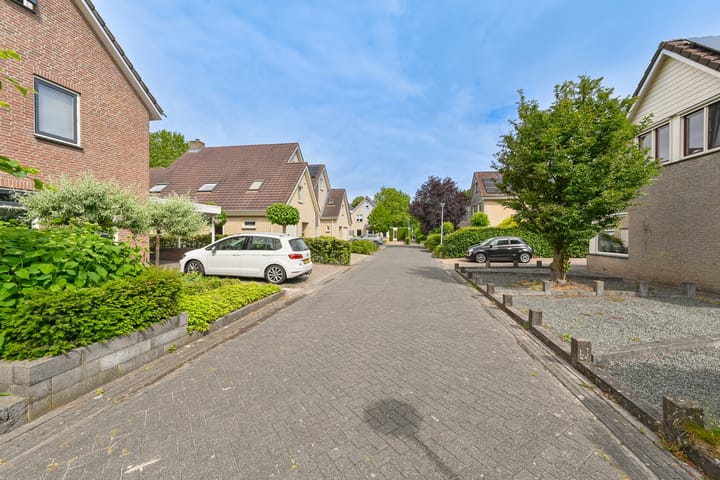 Foto 4 van Grijze Snip 24