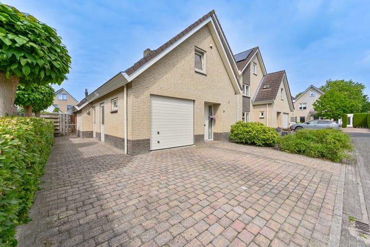 Foto 6 van Grijze Snip 24