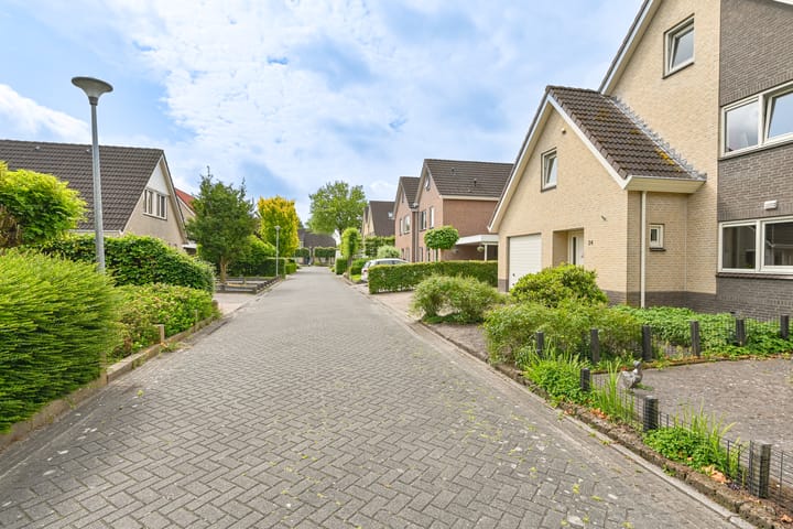 Foto 10 van Grijze Snip 24