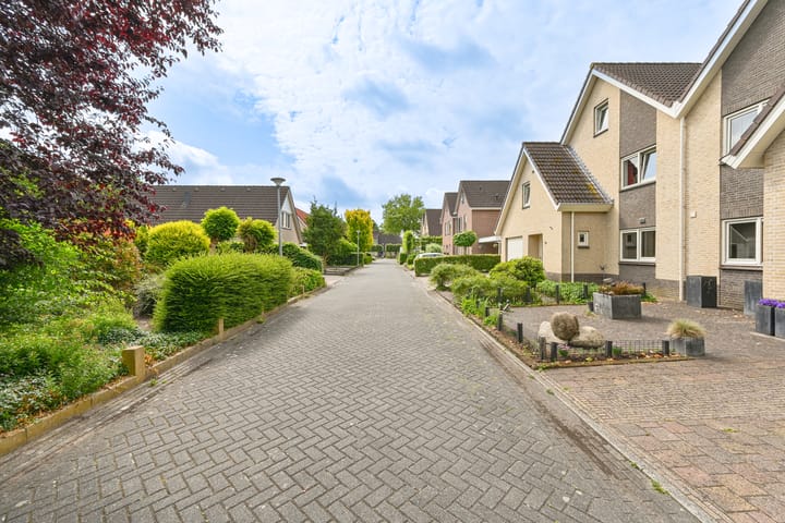 Foto 11 van Grijze Snip 24