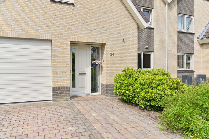 Foto 12 van Grijze Snip 24