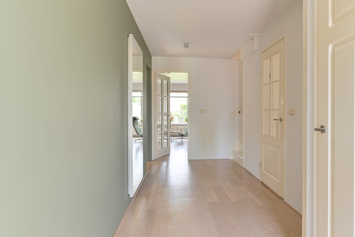 Foto 13 van Grijze Snip 24