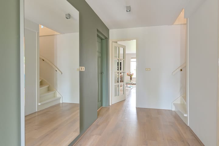 Foto 14 van Grijze Snip 24