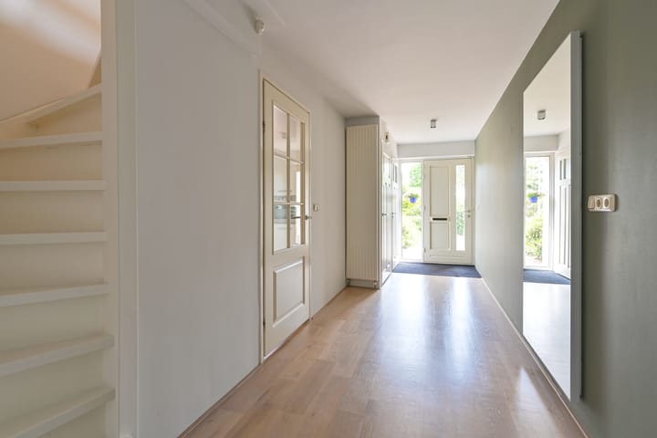 Foto 15 van Grijze Snip 24