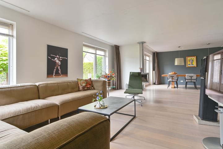 Foto 19 van Grijze Snip 24