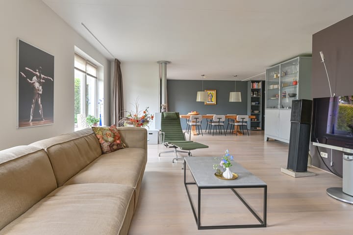 Foto 20 van Grijze Snip 24